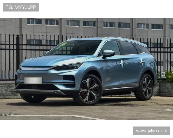 19万买辆二手比亚迪唐EV，检车师傅：我觉得你在侮辱我的智商